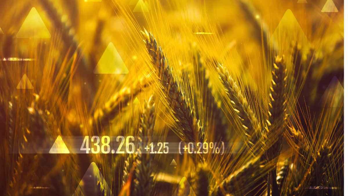 what is commodity trading