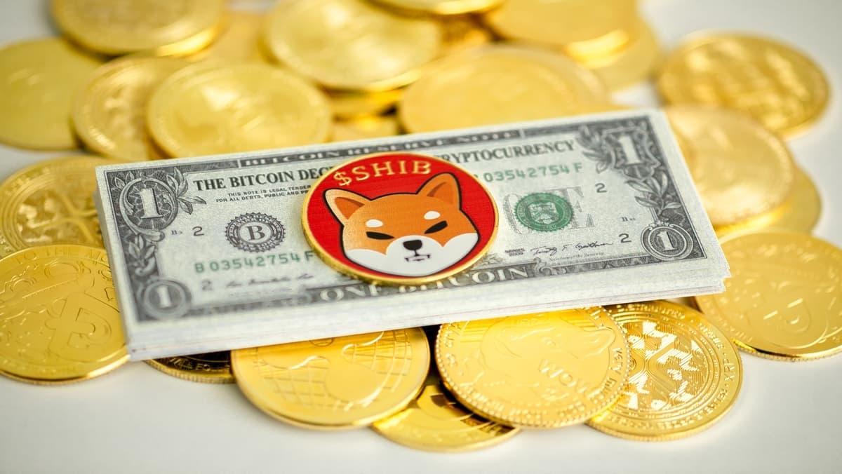 shiba-inu-09.jpg